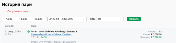 отчет спаниш рейсинг.png