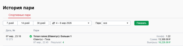 отчет юва пиза.png