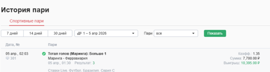 отчет по маринга - ферровария.png