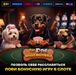1781165061931.png