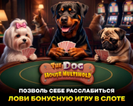 1781246120981.png